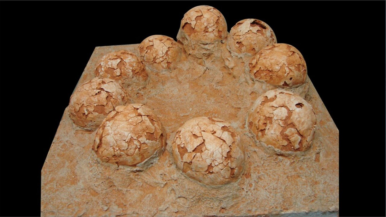 Nests of Eggs, Part 16 The Complete Creation, 3rd edition