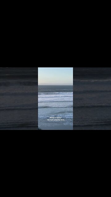 The Most Beautiful Things… #shorts