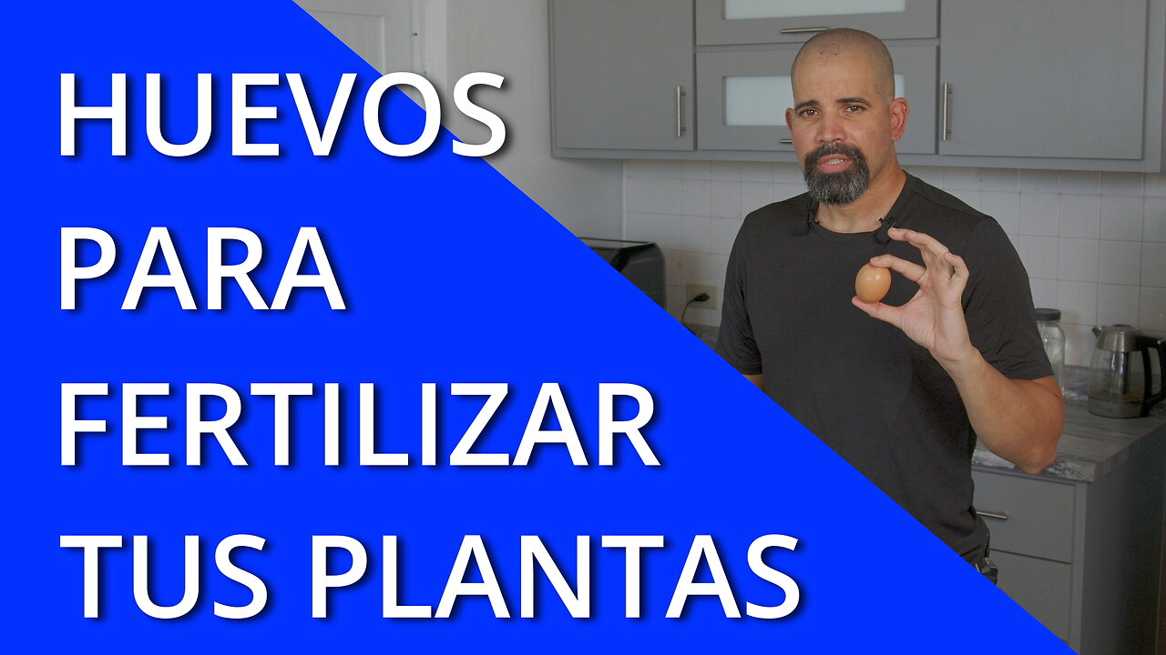 Usa Los Huevos Como Abono Para Las Plantas En Tu Huerto