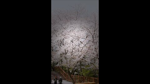 MISHLEI (PROVERBS) 10:22-28 All Honor, Glory and Praise to the Most High!