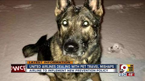 United Airlines dealing with pet travel mishaps