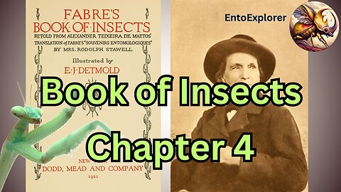 Book of Insects - Chapter 4 The Mantis - by Jean-Henri Fabre