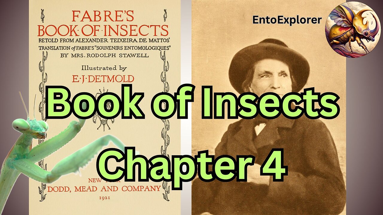 Book of Insects - Chapter 4 The Mantis - by Jean-Henri Fabre