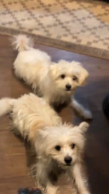 Trust the Lord. Don’t worry. Seek the kingdom of God Jesus Matthew 6:33