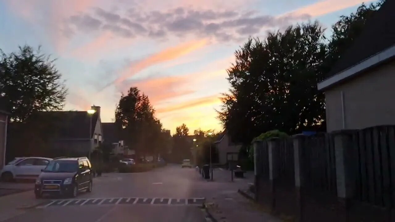 ONE BIG BENEFIT for Dog Owners: BEAUTIFUL Skyfall