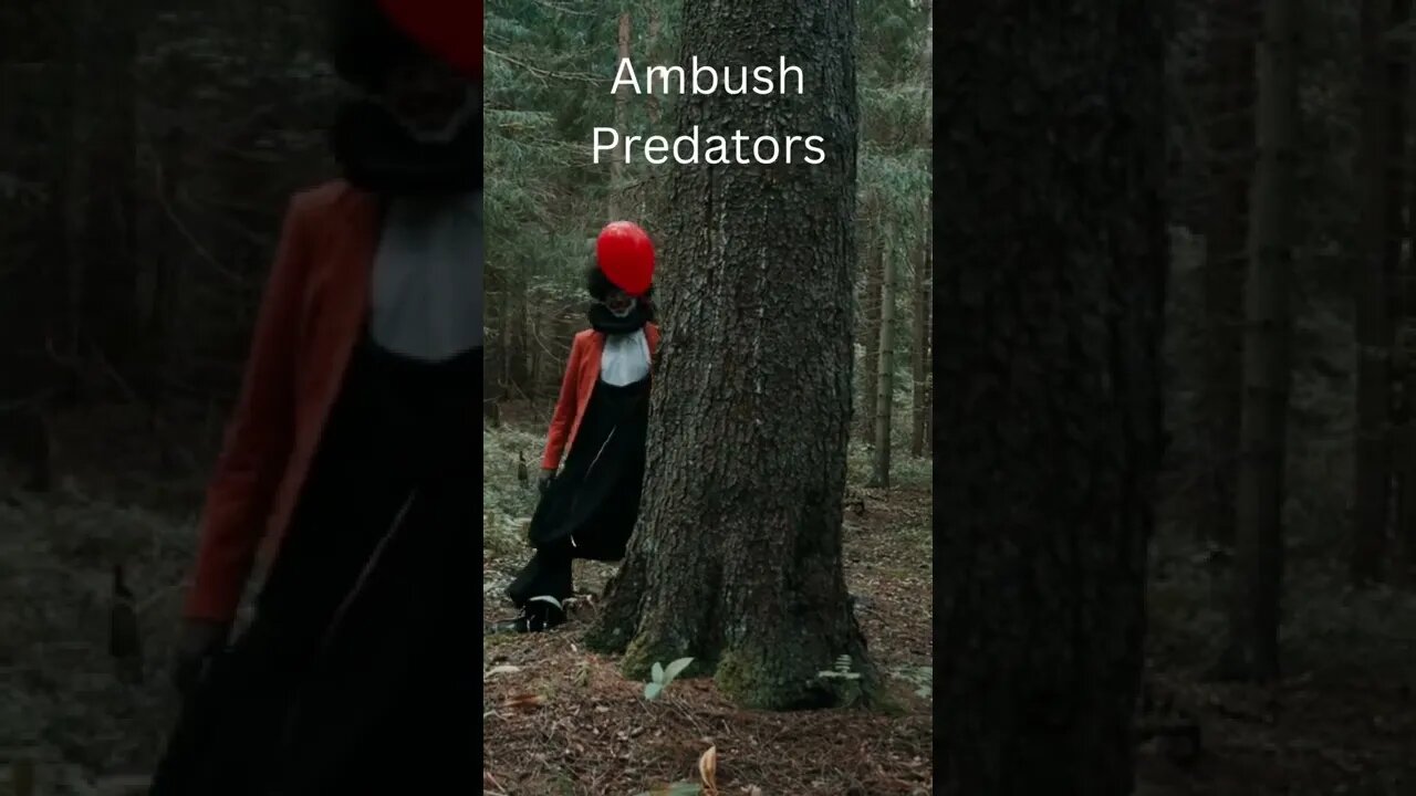 Ambush Predators