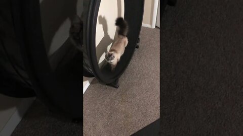 Exercise