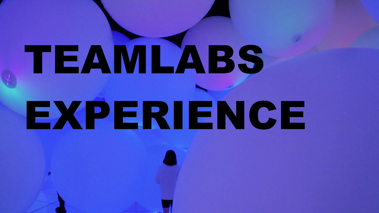 TeamLabs Tokyo (December 2018)