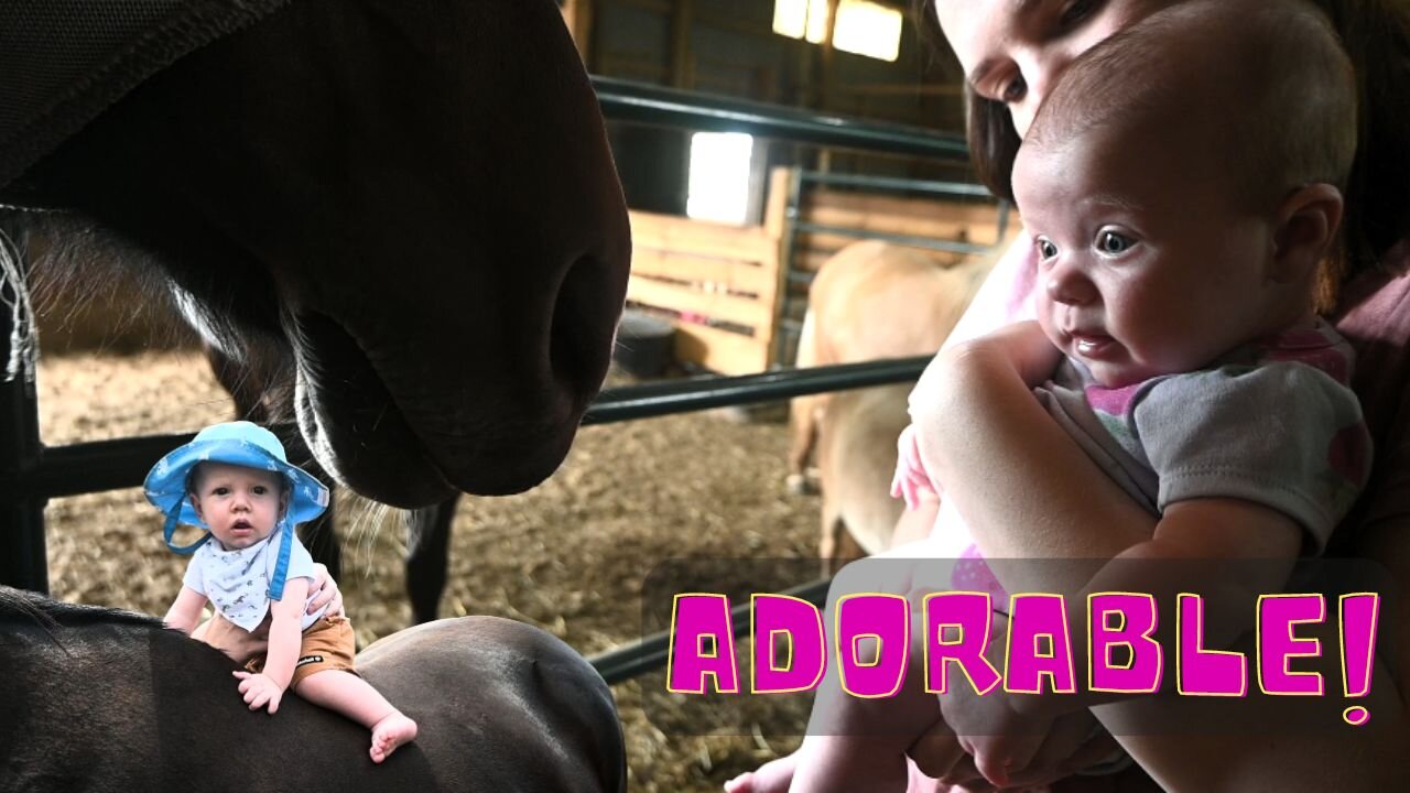 Baby Lily Meets The Horses For The First Time!