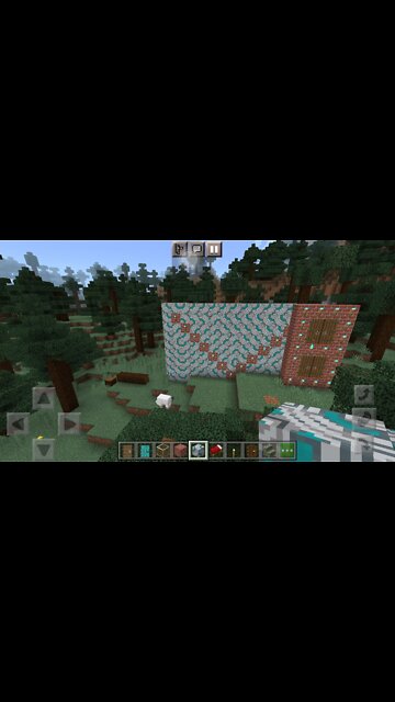 Huge bob for my channel name