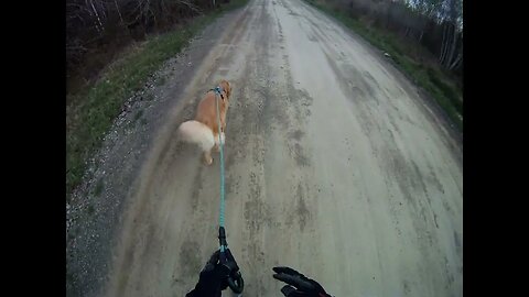 May 12, 43º and cloudy, Flynn and I head North but don't make it to Prentiss