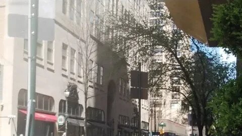 Pre-Dog Walk Live Stream with Philadelphia Walks PTSD
