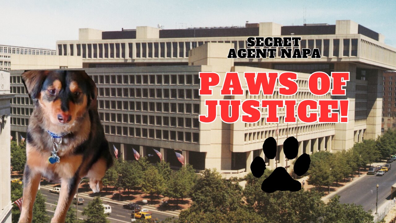 Paws of Justice! 🐕‍🦺🦮👀