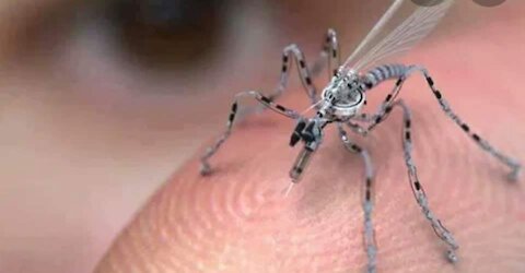 DRONI INSETTI, MICIDIALI SUPER TECNOLOGICI ED ARMI PSICOTRONICHE. 20-03-21. ELISEO BONANNO.