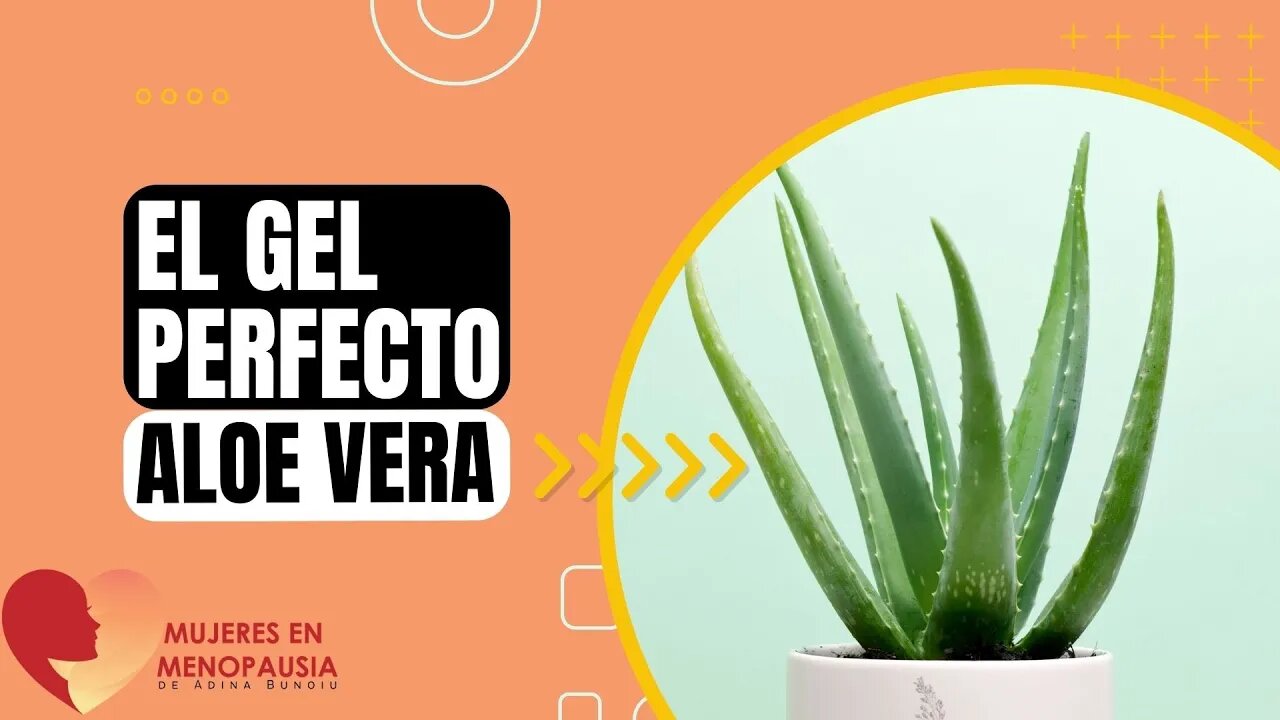 Gel de Aloe Vera | Mujeres en Menopausia