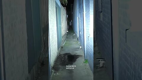 Convoy M21H: POV beamshots walking down narrow alleyway