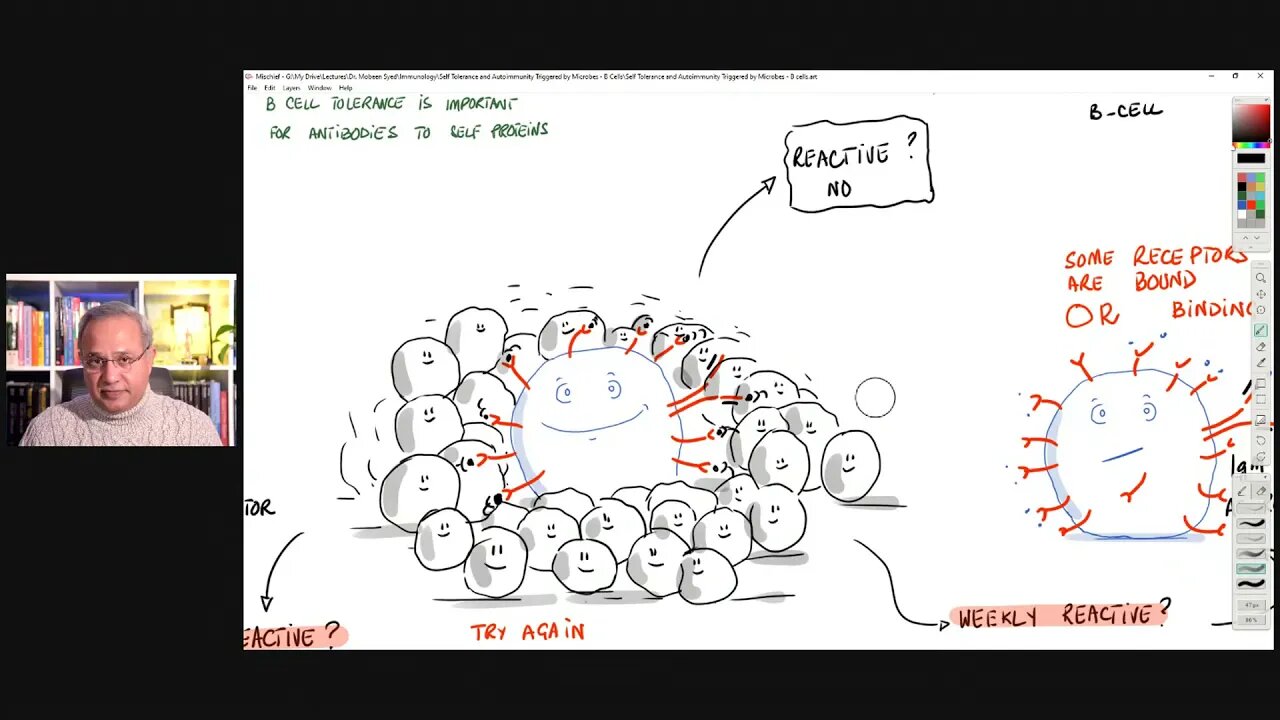 Self Tolerance and Microbe Triggered Autoimmunity (B Cell Focus)