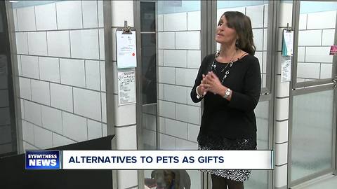 Pets for Kids, not ready yet?