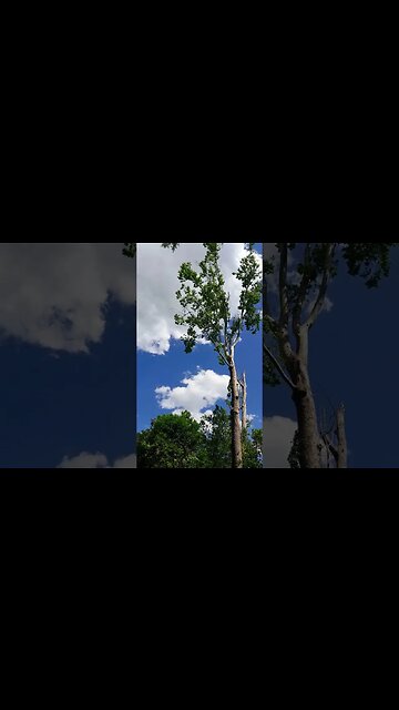 WAIT FOR IT.. #shorts