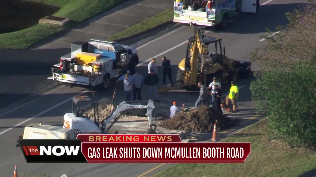 Gas leak closes McMullen Booth Road in Pinellas County