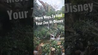 Take Time To Find Some Zen At Disney....You'll Thank Me