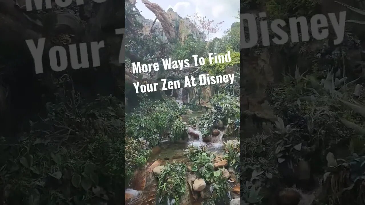 Take Time To Find Some Zen At Disney....You'll Thank Me