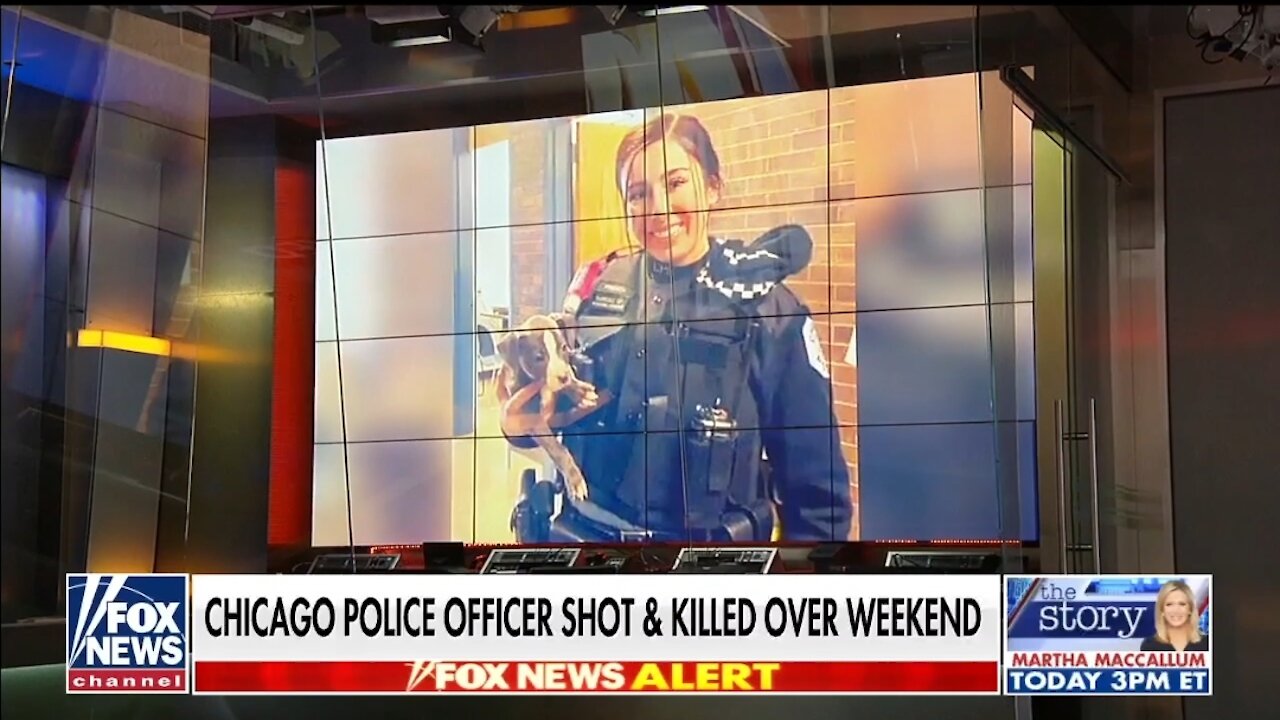 Kayleigh McEnany: Slain Chicago Cop ‘Did a Heck of a Lot More’ for America Than Cori Bush