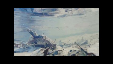 4K underwater