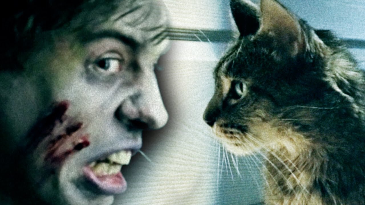 Cats vs Zombies