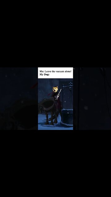 Judge Claude Doggo Attacks the Vacuum #shorts