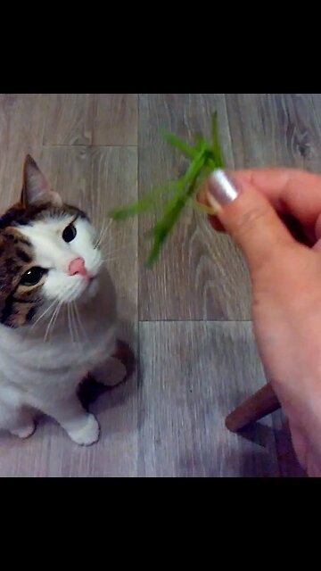 This is the most delicious grass in the world