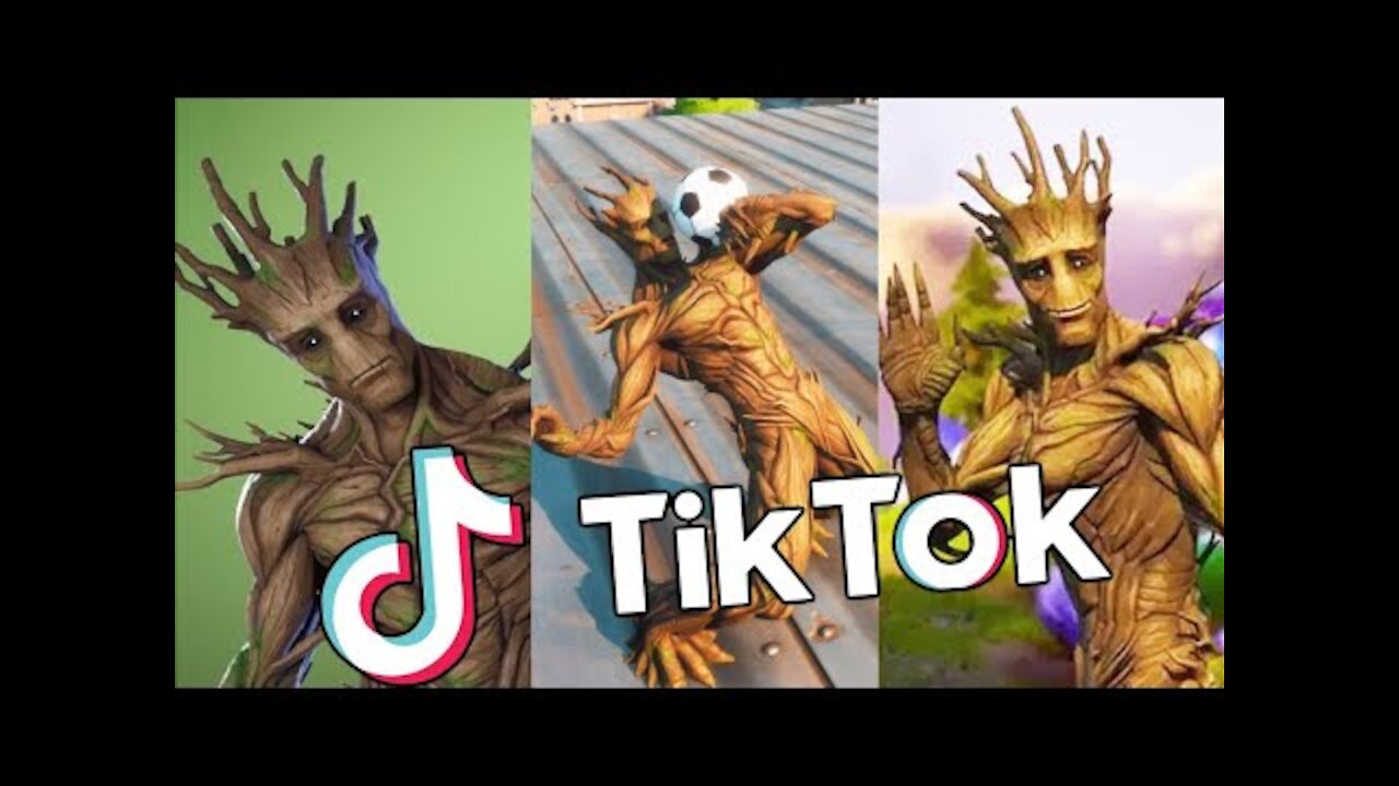 Fortnite WTF Gameplay Compilation with tik toks 2