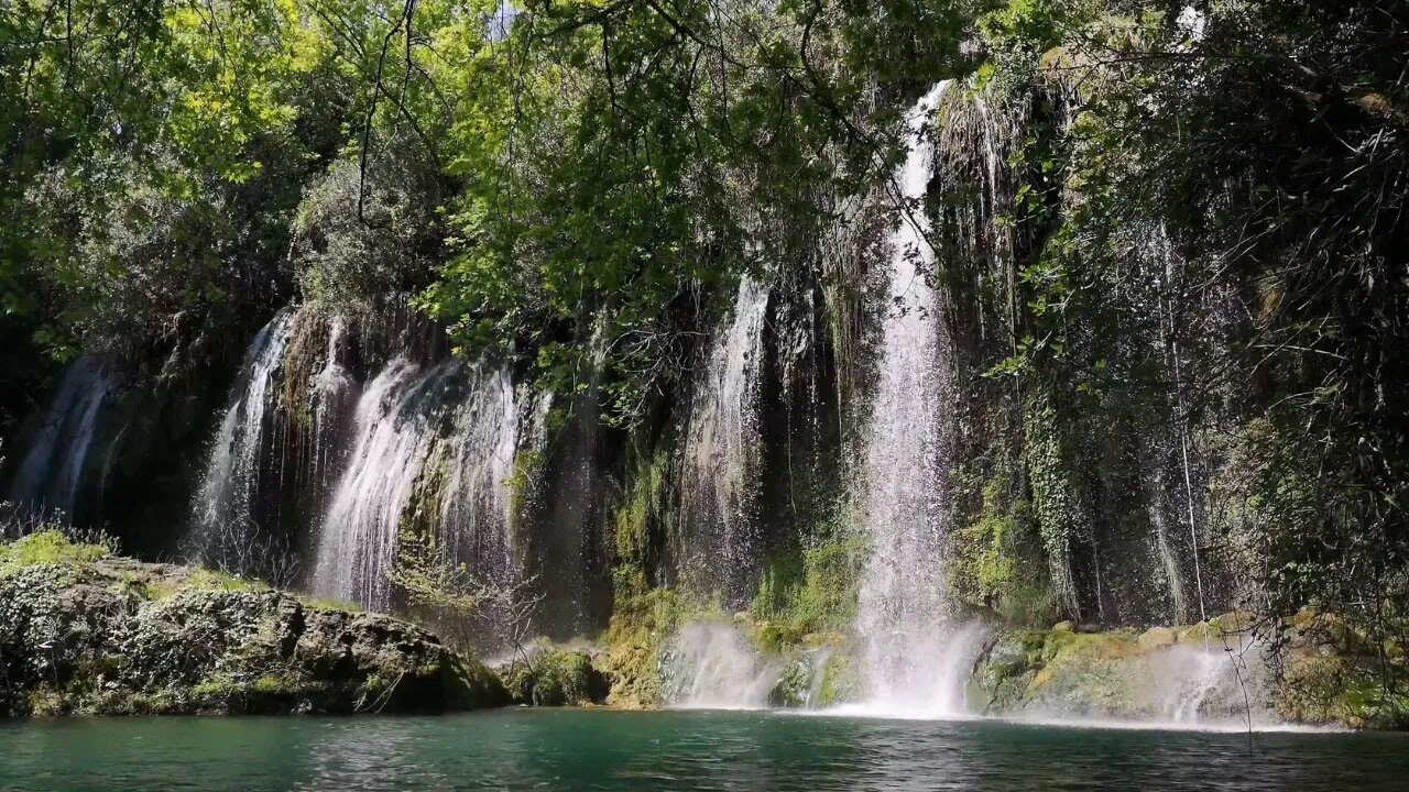 Stop insomnia with this magical waterfall that flows deep in the jungle forest.