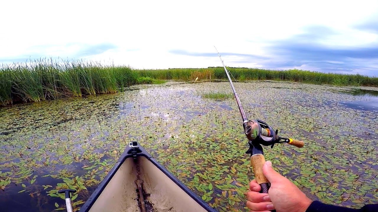 CANOE Topwater Frog Fishing CHALLENGE !!!