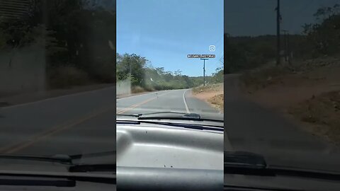Apareceu na estrada?!