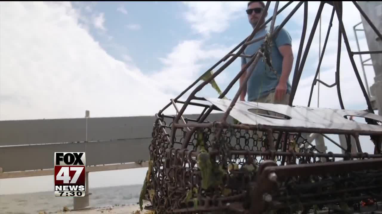 Oyster farmer tries to keep struggling company afloat amid virus outbreak