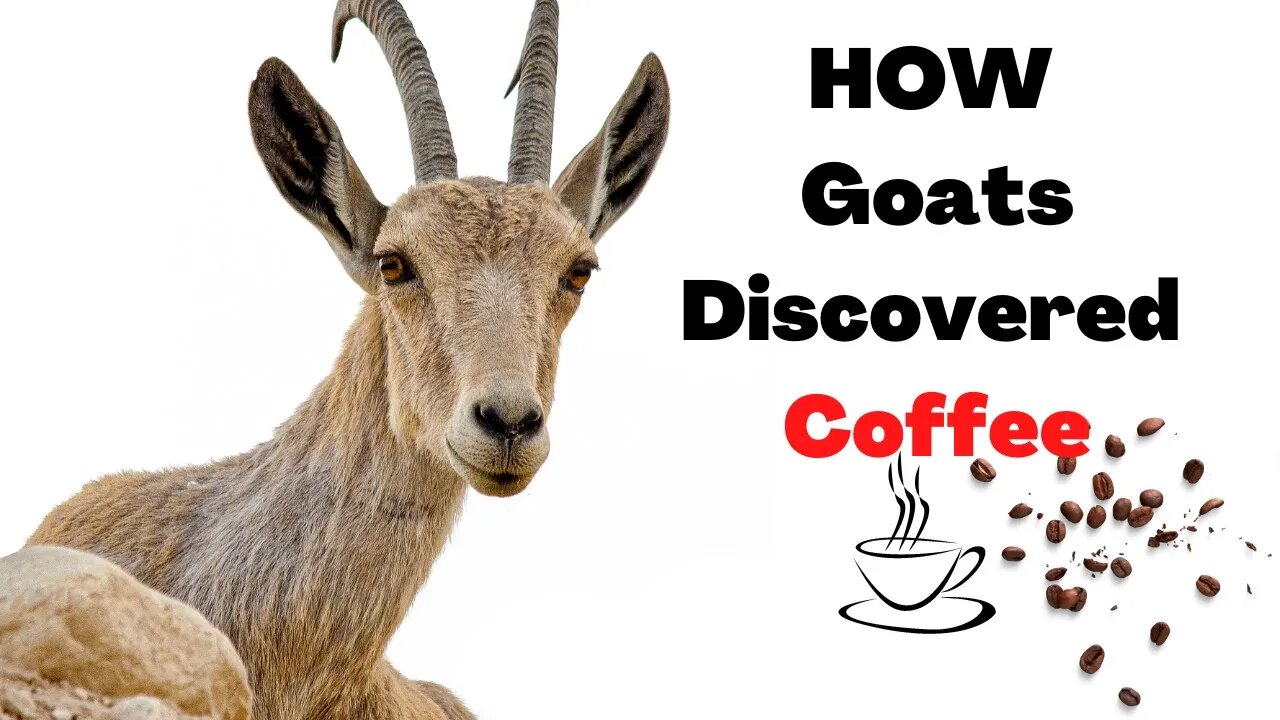 10 Unbelievable FACTS About Goats You Are Not Aware