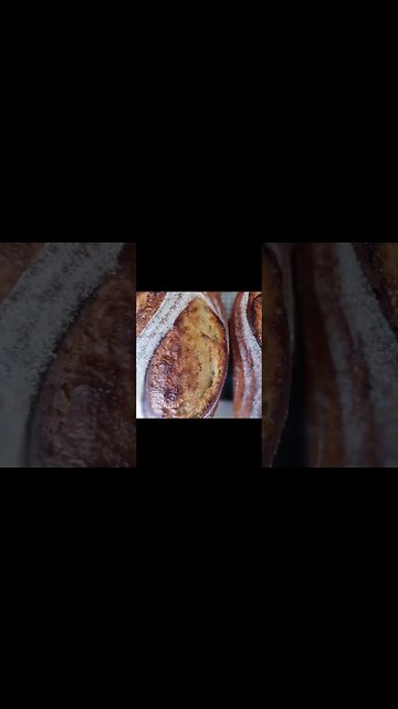 SOURDOUGH BAKING FOR THE COMMUNITY #sourdough #lievitomadre #bread