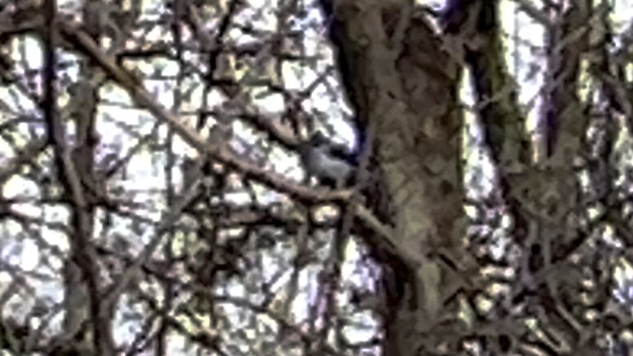 Cold enough for ya? 🤣🤣