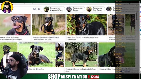 Chillin & Skrillin | Chillstream