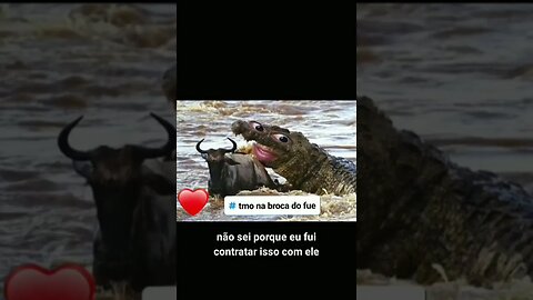 CARAMELONILDO QUANDO VI ESSE VIDEOS NÃO PARE DE RIR