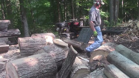 39 Splitting the Big Maple