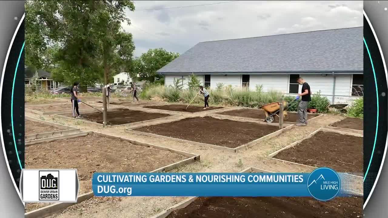 Cultivating Gardens & Nourishing Communities in Denver // DUG.org