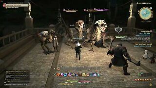 Final Fantasy XIV Online Takin' What They Are Givin'