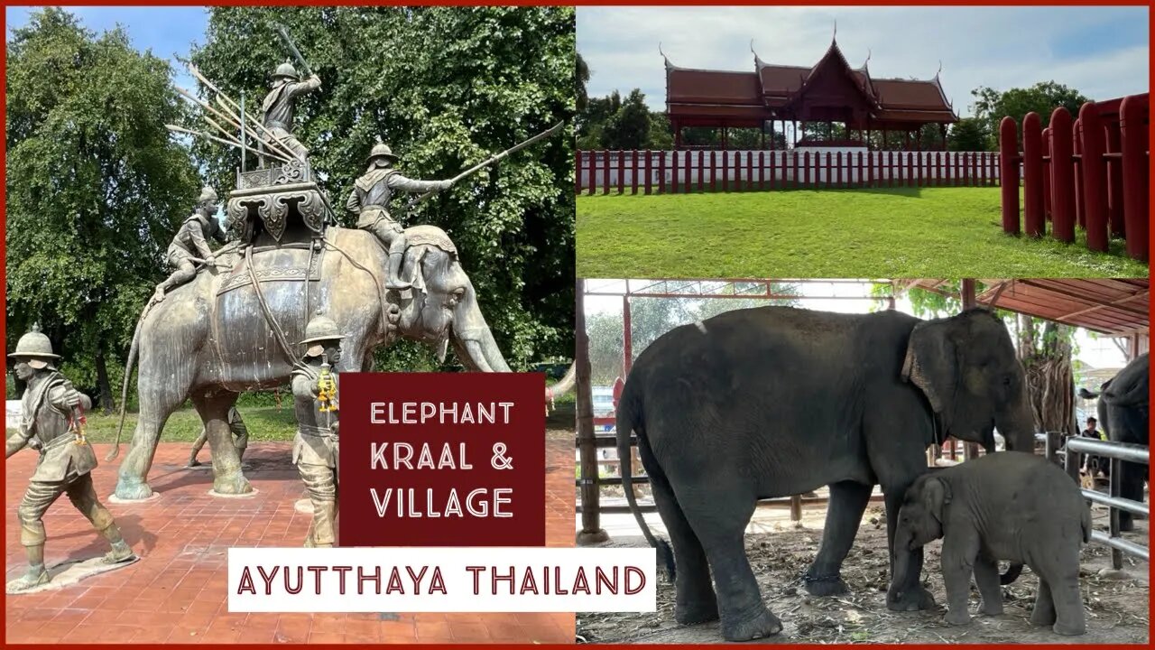 Elephant Kraal & Village - Ayutthaya Thailand 2023