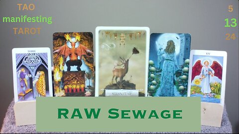 RAW Sewage