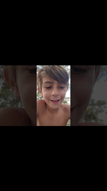 World's smallest pine cone?