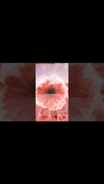 #ytshortsvideo #ytshortscanada #Halfcourtshots #recordholder #maxout #basketball