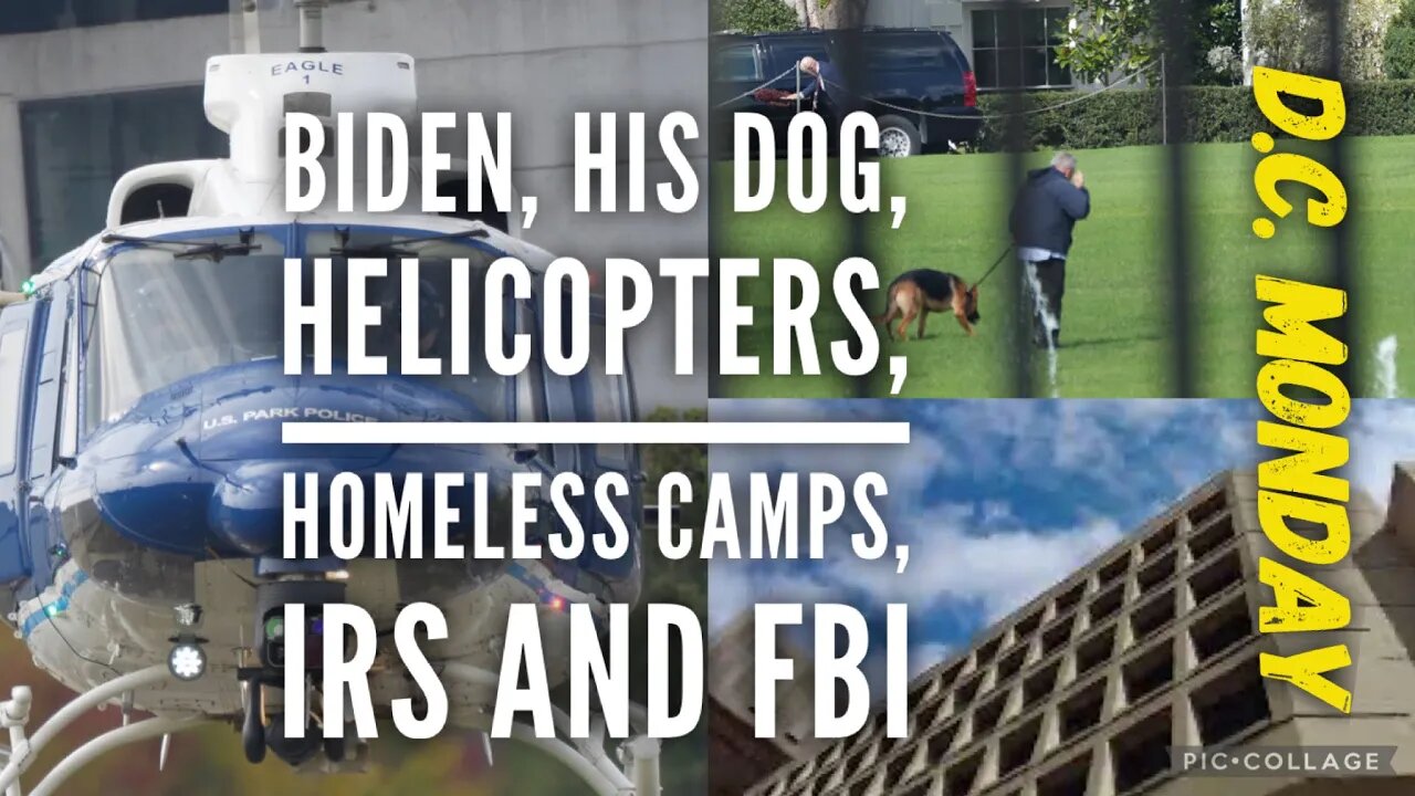 Checking out the FBI, IRS, DC homeless camps, Biden’s dog and helicopter on just a Monday.