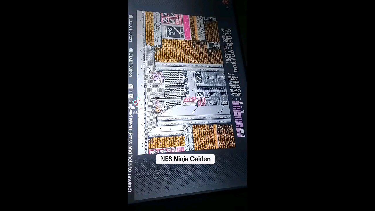 NES Ninja Gaiden